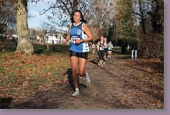 Begles 15.12.13 01 768 * 679 x 453 * (192KB)